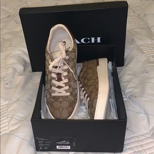 Coach Clip Signature Low Top